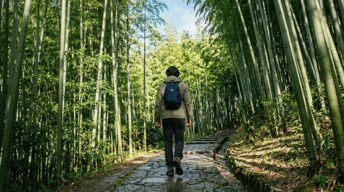 A lone hiker walking the gravel path through the Sagano Bamboo Forest just after dawn, doing the sagano bamboo forest hike without a tour
