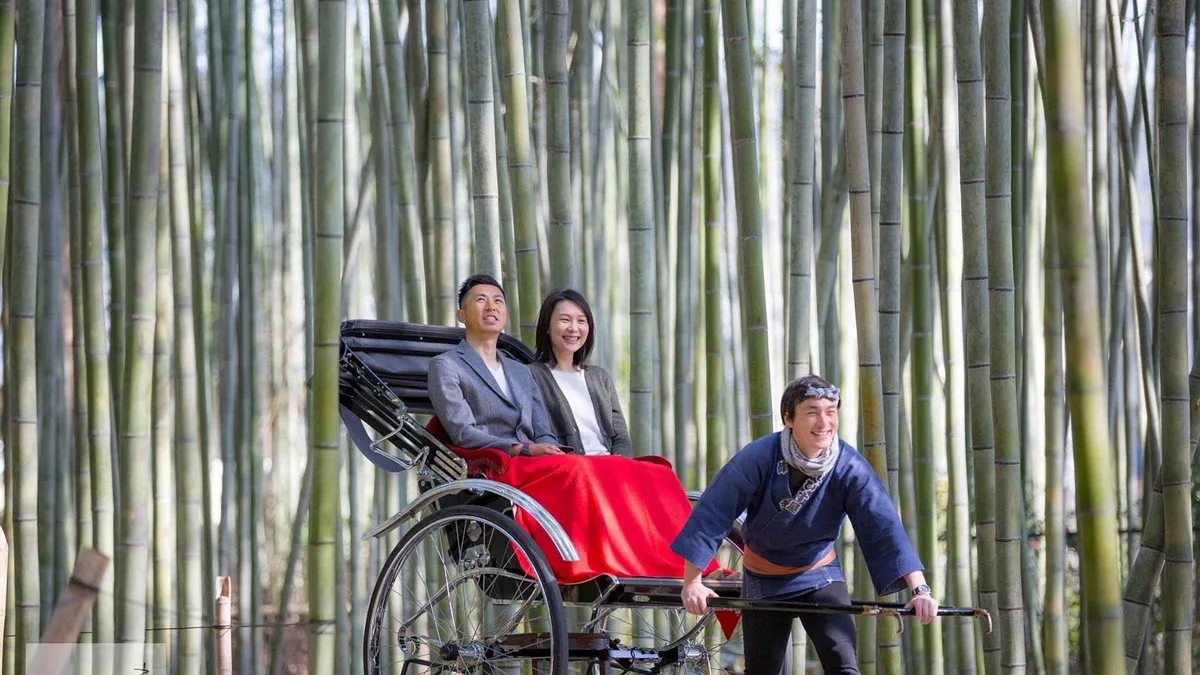 Rickshaw puller in traditional dress pulling guests along the exclusive rickshaw lane of the Sagano Bamboo Forest in Arashiyama, Kyoto